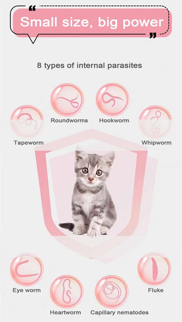 14 mg Milbemycin Oxime and Praziquantel Tablets for cat