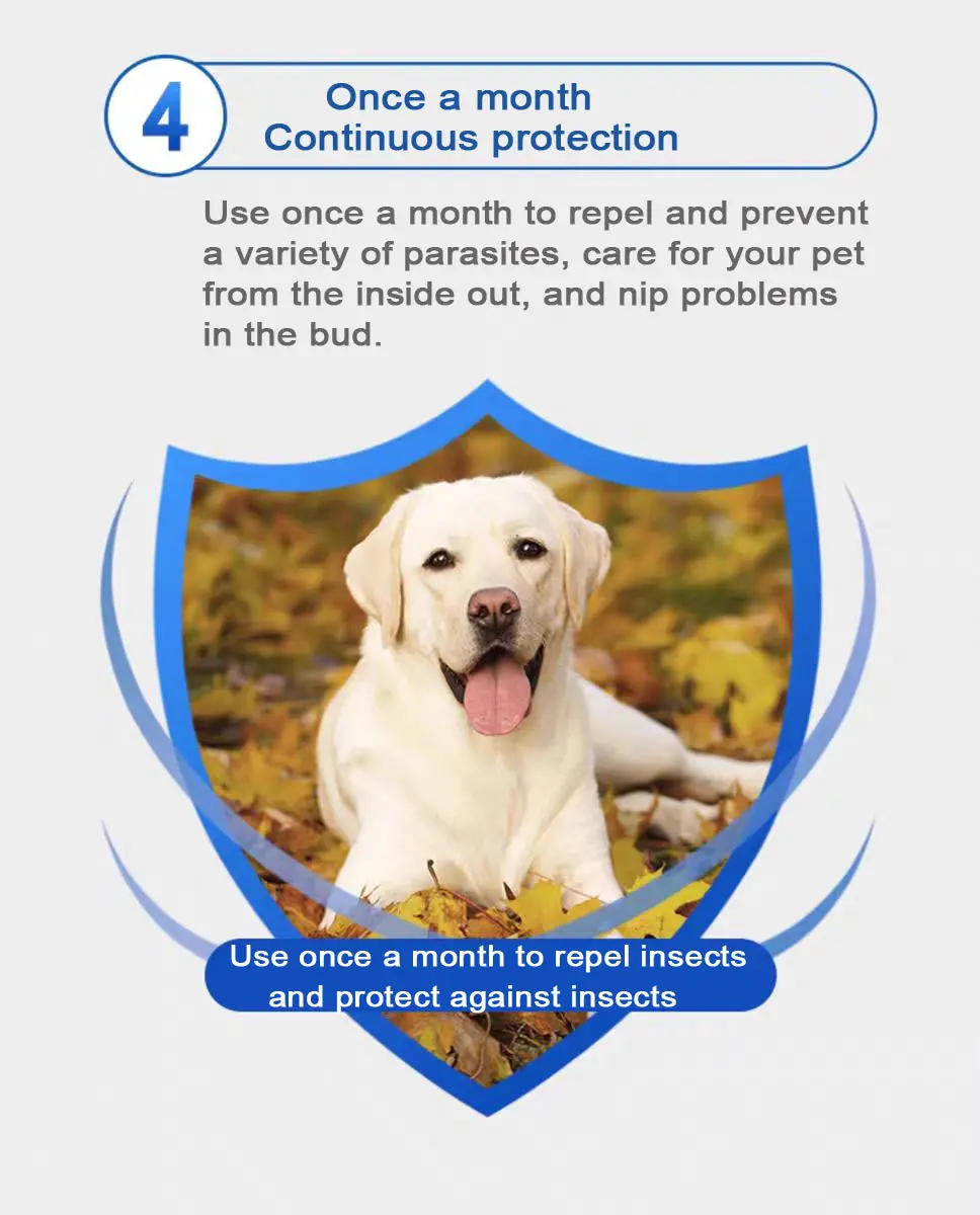 2.0ml for dog Selamectin Solution.jpg