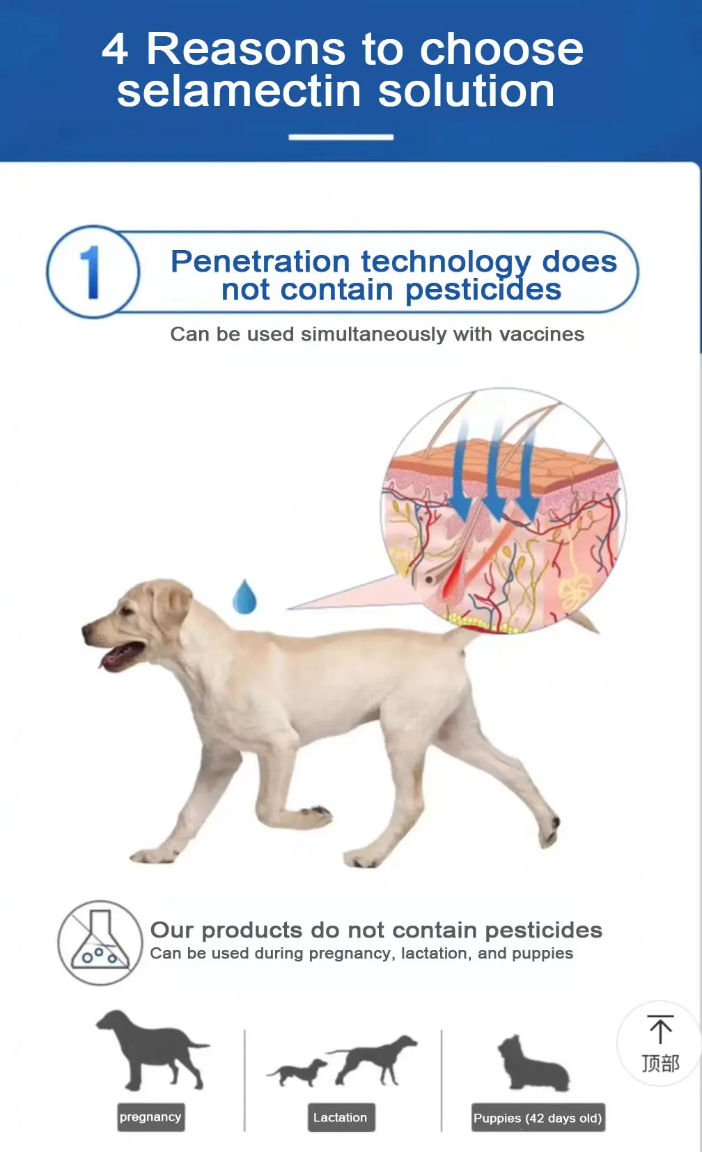 2.0ml for dog Selamectin Solution