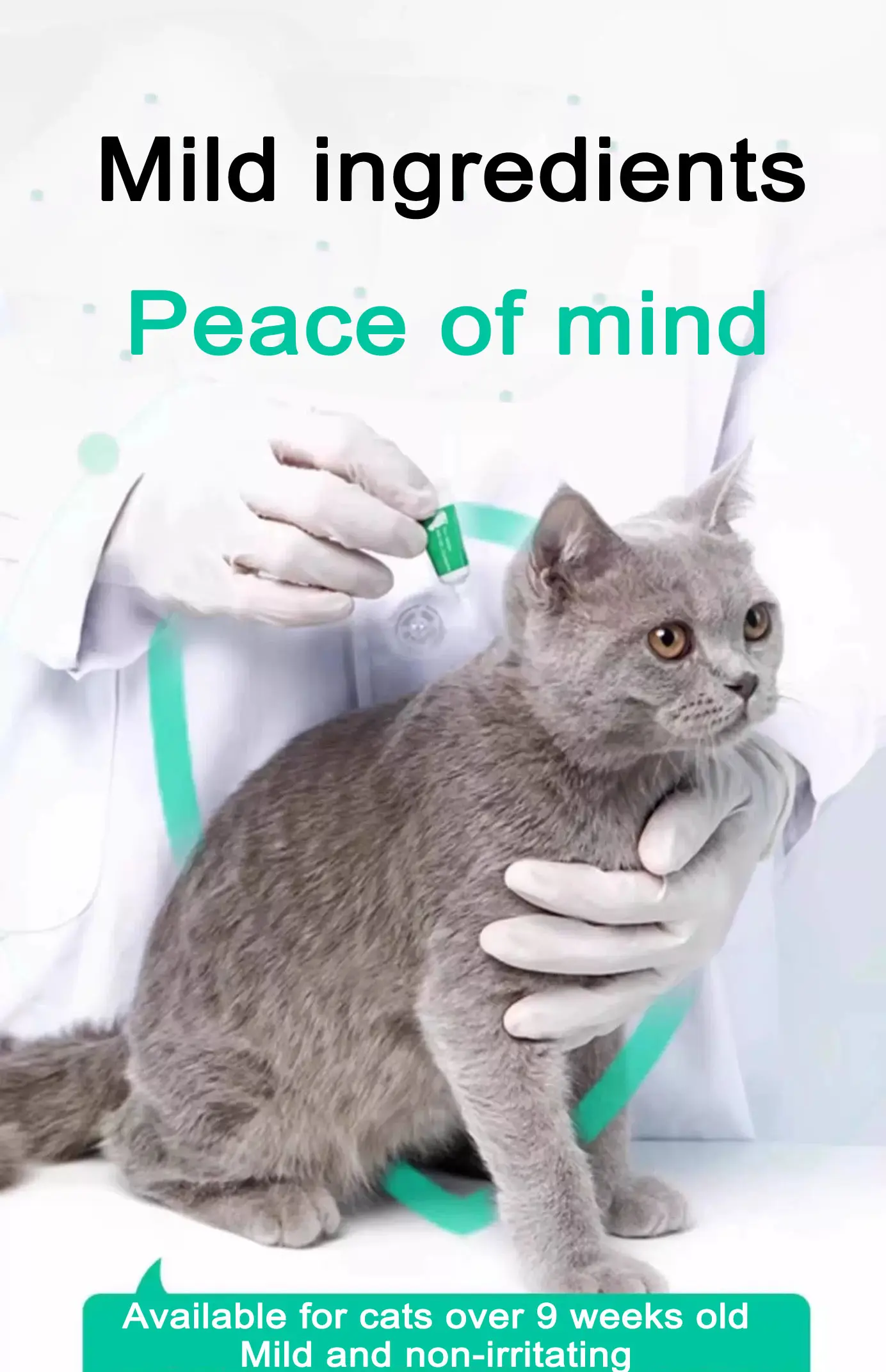 2.5ml For dogs Imidacloprid and Moxidectin Drops