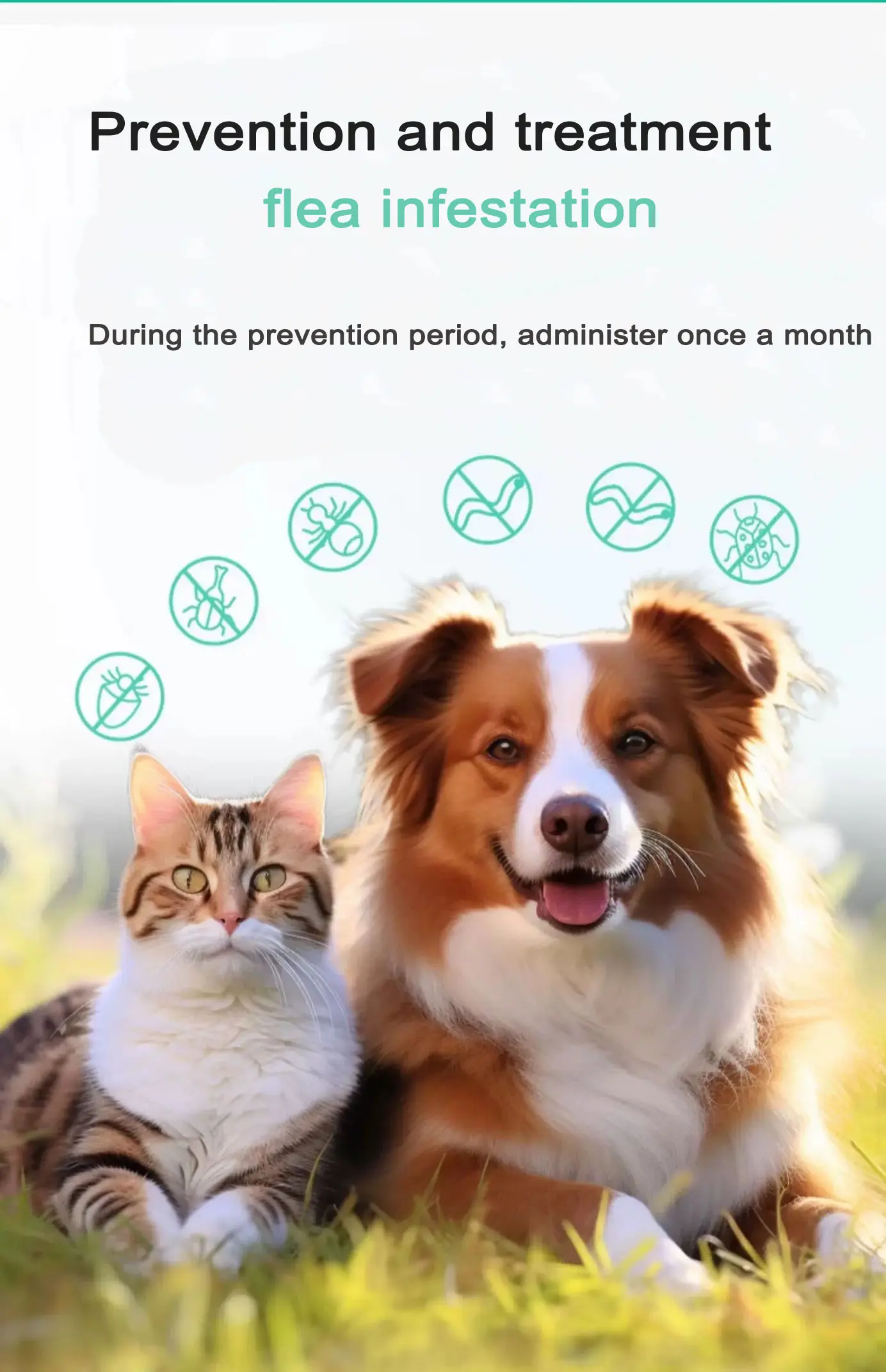 2.5ml For dogs Imidacloprid and Moxidectin Drops.jpg