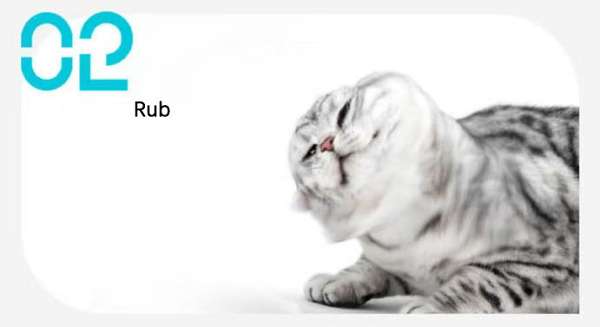 Pet Ear Cleaning Solution