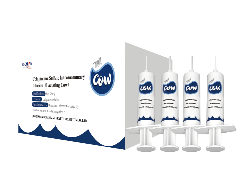 Cefquinome Sulfate Intramammary Infusion (Lactating Cow)