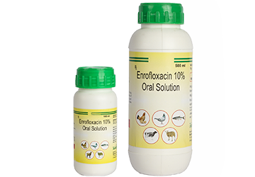 Enrofloxacin Oral Solution