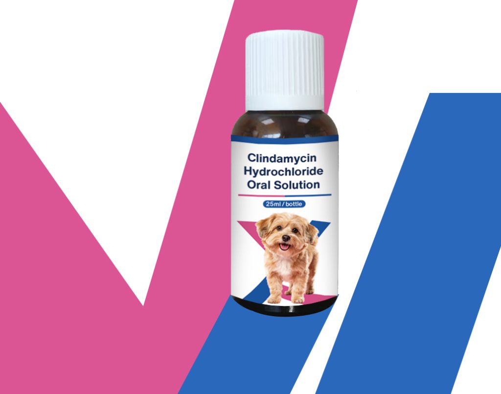 Clindamycin Hydrochloride Oral Solution